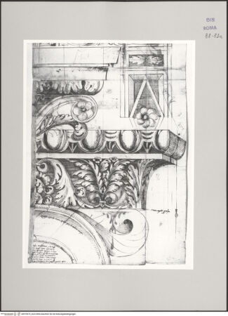 Vorderseite von Istituto Nazionale per la Grafica [https://www.deutsche-digitale-bibliothek.de/content/lizenzen/rv-ez/] Codice C (2502)Diokletiansthermen, Caldarium, Konsolgesims (Fortsetzung von fol. 80 v), Abakus- und Unterzugplatte, - , bh575675_recto. Foto.