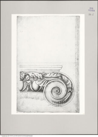 Vorderseite von Istituto Nazionale per la Grafica [https://www.deutsche-digitale-bibliothek.de/content/lizenzen/rv-ez/] Codice C (2502)Volute eines ornamentierten ionischen Kapitells in Aufriss und Profil - , bh575678_recto. Foto.