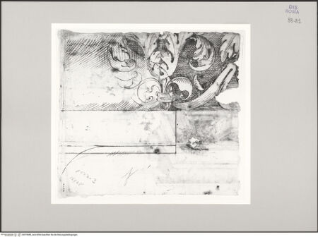 Vorderseite von Istituto Nazionale per la Grafica [https://www.deutsche-digitale-bibliothek.de/content/lizenzen/rv-ez/] Codice C (2502)Diokletiansthermen, Aufriss eines Akanthusfrieses - , bh575680_recto. Foto.