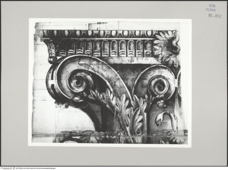 Vorderseite von Istituto Nazionale per la Grafica [https://www.deutsche-digitale-bibliothek.de/content/lizenzen/rv-ez/] Codice C (2502)Vespasianstempel, Aufriss des korinthischen Kapitells (Fortsetzung von fol. 83 v) - , bh575686_recto. Foto.