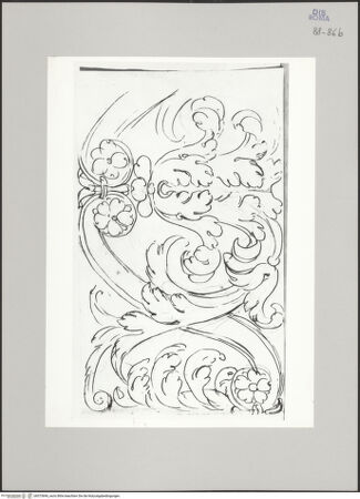 Vorderseite von Istituto Nazionale per la Grafica [https://www.deutsche-digitale-bibliothek.de/content/lizenzen/rv-ez/] Codice C (2502)Tempel des Castor und des Pollux, Akanthusornament vom zweiten Fries - , bh575696_recto. Foto.