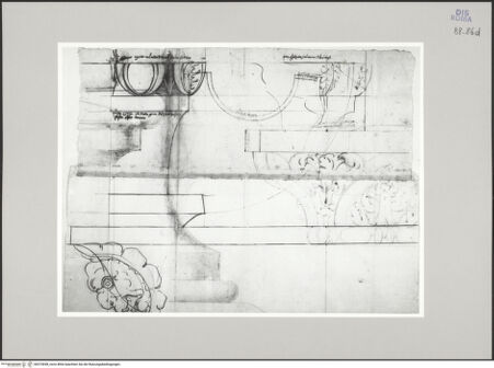 Vorderseite von Istituto Nazionale per la Grafica [https://www.deutsche-digitale-bibliothek.de/content/lizenzen/rv-ez/] Codice C (2502)Tempel des Castor und des Pollux, architektonische Details - , bh575698_recto. Foto.