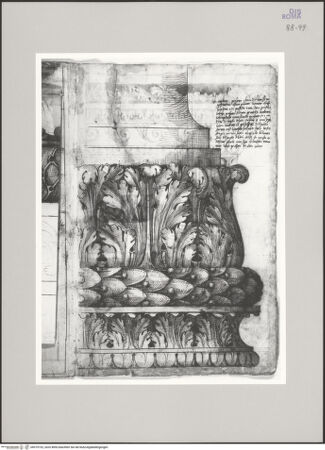 Vorderseite von Istituto Nazionale per la Grafica [https://www.deutsche-digitale-bibliothek.de/content/lizenzen/rv-ez/] Codice C (2502)San Giovanni in Laterano, Baptisterium, Porticus des San Venanzio, Aufriss einer Basis im Originalmaßstab - , bh575732_recto. Foto.