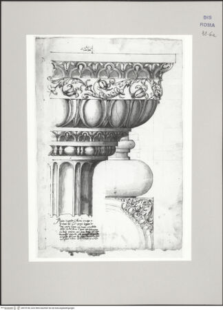 Vorderseite von Istituto Nazionale per la Grafica [http://creativecommons.org/publicdomain/mark/1.0/] Codice C (2502)Aufriss eines ornamentierten (dorischen?) Kapitells, der Unterseite der Abakusplatte und der Basis - , bh575738_recto. Foto.