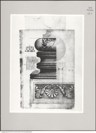 Vorderseite von Istituto Nazionale per la Grafica [https://www.deutsche-digitale-bibliothek.de/content/lizenzen/rv-ez/] Codice C (2502)Ornamentierte ionische Basis - , bh575740_recto. Foto.