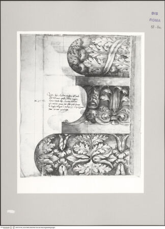 Vorderseite von Istituto Nazionale per la Grafica [https://www.deutsche-digitale-bibliothek.de/content/lizenzen/rv-ez/] Codice C (2502)San Paolo fuori le Mura, ornamentierte attische Basis im Aufriss - , bh575744_recto. Foto.