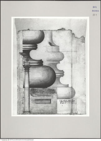 Vorderseite von Istituto Nazionale per la Grafica [https://www.deutsche-digitale-bibliothek.de/content/lizenzen/rv-ez/] Codice C (2502)Alt Sankt Peter, Mittelschiff, Säule mit Architrav und Aufriss einer attischen Basis, ionische Basis des Seitenschiffes - , bh575745_recto. Foto.