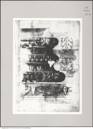 Vorderseite von Istituto Nazionale per la Grafica [https://www.deutsche-digitale-bibliothek.de/content/lizenzen/rv-ez/] Codice C (2502)Aufriss einer ornamentierten ionischen Basis über einer Plinthe mit Bukranionfries, einzelne Akanthusblätter der äußeren Tori - , bh575752_recto. Foto.