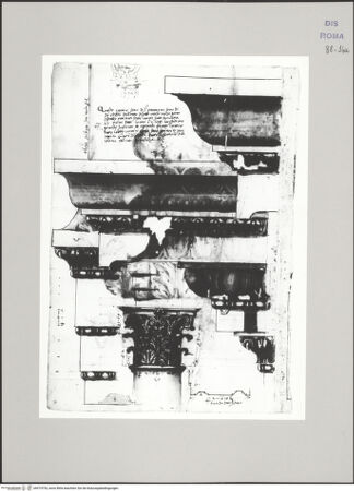 Vorderseite von Istituto Nazionale per la Grafica [https://www.deutsche-digitale-bibliothek.de/content/lizenzen/rv-ez/] Codice C (2502)Basilica Neptuni, architektonische Details: Dreifaszienfries, Gesims und Architrav, Korinthisches Kapitell und Architrav; Sektion durch die Kassetten unterhalb des Frieses [A]; Skizze des Grundrisses des Pantheon [B l a t t ü b e r p r ü f e n ] - , bh575753_recto. Foto.