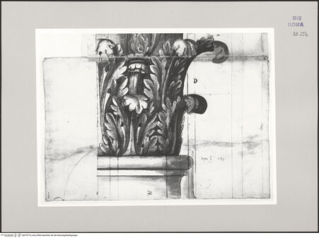 Vorderseite von Istituto Nazionale per la Grafica [https://www.deutsche-digitale-bibliothek.de/content/lizenzen/rv-ez/] Codice C (2502)Pantheon, korinthisches Kapitell - , bh575774_recto. Foto.