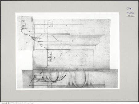 Vorderseite von Istituto Nazionale per la Grafica [https://www.deutsche-digitale-bibliothek.de/content/lizenzen/rv-ez/] Codice C (2502)Pantheon, Innenraum, Basis und Gesims im Profil - , bh575777_recto. Foto.