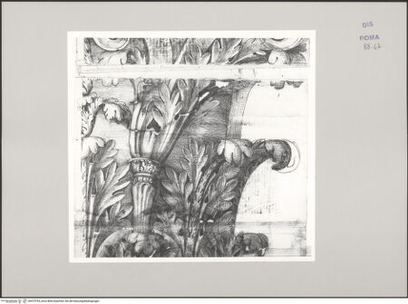 Vorderseite von Istituto Nazionale per la Grafica [https://www.deutsche-digitale-bibliothek.de/content/lizenzen/rv-ez/] Codice C (2502)Hadrianstempel, korinthisches Kapitell - linker Teil, bh575793_recto. Foto.