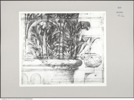 Vorderseite von Istituto Nazionale per la Grafica [https://www.deutsche-digitale-bibliothek.de/content/lizenzen/rv-ez/] Codice C (2502)Hadrianstempel, korinthisches Kapitell - rechter Teil, bh575794_recto. Foto.