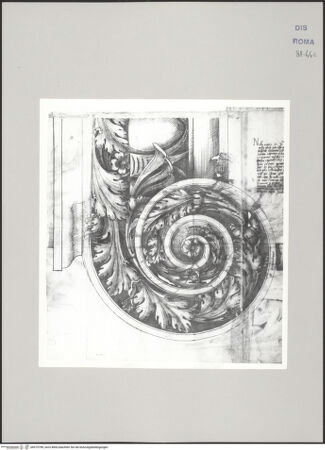 Vorderseite von Istituto Nazionale per la Grafica [https://www.deutsche-digitale-bibliothek.de/content/lizenzen/rv-ez/] Codice C (2502)Architektonische Elemente, aufgefunden in der Vigna von San Pietro in Vincoli - , bh575796_recto. Foto.