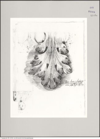 Vorderseite von Istituto Nazionale per la Grafica [https://www.deutsche-digitale-bibliothek.de/content/lizenzen/rv-ez/] Codice C (2502)Akanthusblatt unterhalb eines Architravs ?? - , bh575801_recto. Foto.