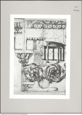 Vorderseite von Istituto Nazionale per la Grafica [https://www.deutsche-digitale-bibliothek.de/content/lizenzen/rv-ez/] Codice C (2502)Architektonische Elemente, aufgefunden in den Vigne der Santi Quattro Coronati - , bh575802_recto. Foto.