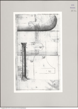 Vorderseite von Istituto Nazionale per la Grafica [https://www.deutsche-digitale-bibliothek.de/content/lizenzen/rv-ez/] Codice C (2502)Kannelierte Säule mir korinthischem Kapitell, Sommoscapo und Imoscapo im Profil - , bh575814_recto. Foto.