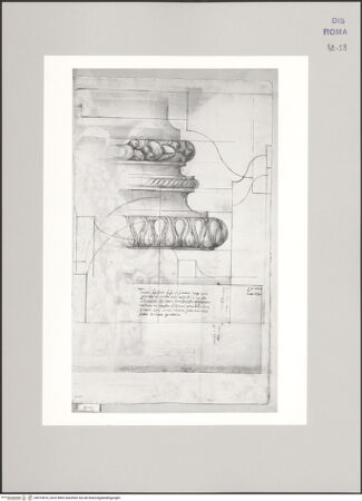 Vorderseite von Istituto Nazionale per la Grafica [https://www.deutsche-digitale-bibliothek.de/content/lizenzen/rv-ez/] Codice C (2502)Ornamentierte ionische Basis im Aufriss, vormals auf dem Kapitol befindlich; Zwei Kapitelle und eine Basis toskanischer Ordnung im Profil; Teil eines Gebälks? - , bh575818_recto. Foto.