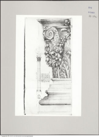 Vorderseite von Istituto Nazionale per la Grafica [https://www.deutsche-digitale-bibliothek.de/content/lizenzen/rv-ez/] Codice C (2502)Lateransbaptisterium, Aufriss einer korinthischen Säule mit Basis und Kapitell im Detail - , bh575819_recto. Foto.