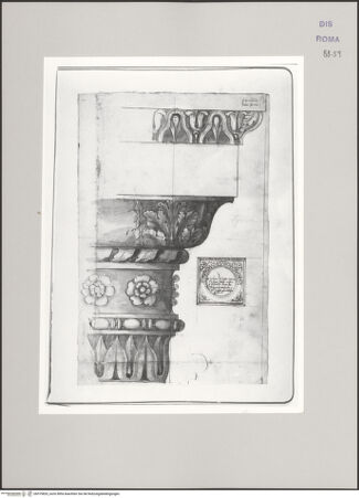 Vorderseite von Istituto Nazionale per la Grafica [https://www.deutsche-digitale-bibliothek.de/content/lizenzen/rv-ez/] Codice C (2502)Profilstudie eines Kapitells; Aufriss der Abakus-Unterseite - , bh575820_recto. Foto.