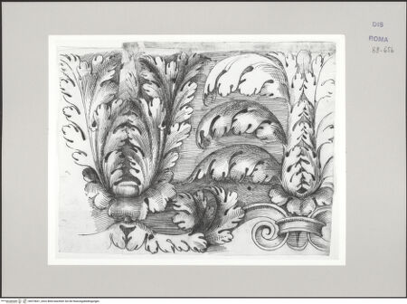 Vorderseite von Istituto Nazionale per la Grafica [https://www.deutsche-digitale-bibliothek.de/content/lizenzen/rv-ez/] Codice C (2502)Sankt Peter, Cappella Gregoriana, Konsolgesims aus dem Hadrianeum, Detailstudie des Akanthusornaments auf dem Sima - , bh575831_recto. Foto.