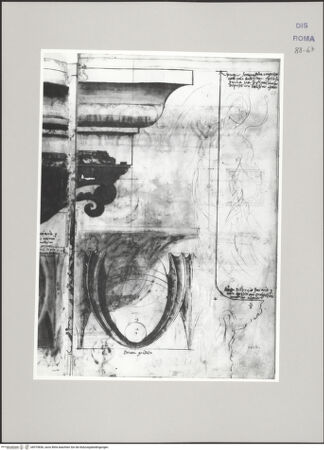 Vorderseite von Istituto Nazionale per la Grafica [https://www.deutsche-digitale-bibliothek.de/content/lizenzen/rv-ez/] Codice C (2502)Trajansforum, Konsolgesims (Fortsetzung von fol. 66 v), Aufriss des Eierstabs desselben im Originalmaßstab, Profil des Frieses, skizzenhafte Wiedergabe einer Relieffigur des Frieses - , bh575836_recto. Foto.