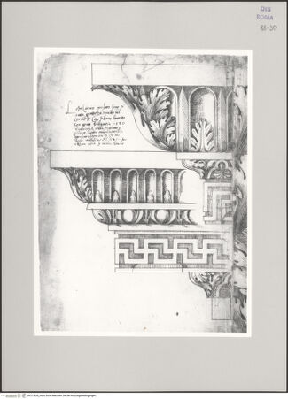 Vorderseite von Istituto Nazionale per la Grafica [https://www.deutsche-digitale-bibliothek.de/content/lizenzen/rv-ez/] Codice C (2502)Via Appia, Gegend um das Grabmal der Cecilia Metella, zwei ornamentierte Gesimse im Aufriss - , bh575838_recto. Foto.