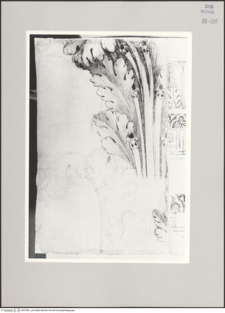 Vorderseite von Istituto Nazionale per la Grafica [https://www.deutsche-digitale-bibliothek.de/content/lizenzen/rv-ez/] Codice C (2502)Kompositkapitell - , bh575841_recto. Foto.