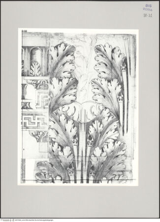 Vorderseite von Istituto Nazionale per la Grafica [https://www.deutsche-digitale-bibliothek.de/content/lizenzen/rv-ez/] Codice C (2502)Kompositkapitell - , bh575842_recto. Foto.