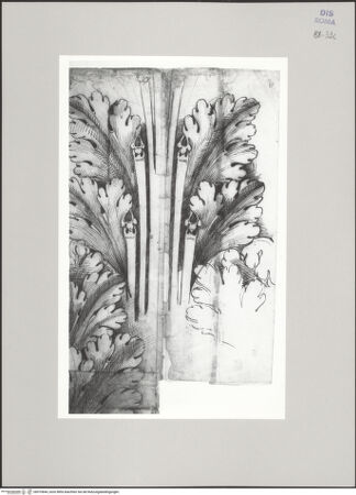 Vorderseite von Istituto Nazionale per la Grafica [https://www.deutsche-digitale-bibliothek.de/content/lizenzen/rv-ez/] Codice C (2502)Kompositkapitell - , bh575844_recto. Foto.