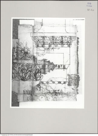Vorderseite von Istituto Nazionale per la Grafica [https://www.deutsche-digitale-bibliothek.de/content/lizenzen/rv-ez/] Codice C (2502)Tempel der Venus Genetrix, Akanthusfries und Architrav im Aufriss - , bh575852_recto. Foto.