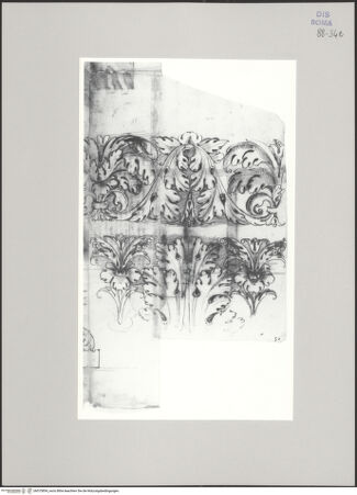 Vorderseite von Istituto Nazionale per la Grafica [https://www.deutsche-digitale-bibliothek.de/content/lizenzen/rv-ez/] Codice C (2502)Tempel der Venus Genetrix, Akanthusfries im Aufriss - , bh575854_recto. Foto.