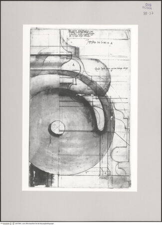 Vorderseite von Istituto Nazionale per la Grafica [https://www.deutsche-digitale-bibliothek.de/content/lizenzen/rv-ez/] Codice C (2502)Kolosseum, architektonische Details der ionischen Ordnung - , bh575861_recto. Foto.