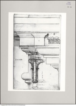 Vorderseite von Istituto Nazionale per la Grafica [https://www.deutsche-digitale-bibliothek.de/content/lizenzen/rv-ez/] Codice C (2502)Kolosseum, architektonische Details der korinthischen Ordnung - , bh575865_recto. Foto.