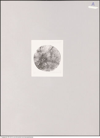 Vorderseite von bh576142_recto