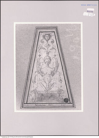 Vorderseite von bh576544_recto