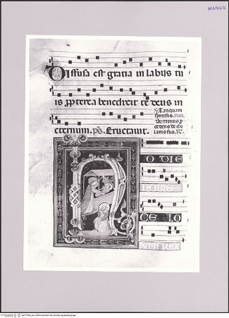 Vorderseite von bh577044_recto