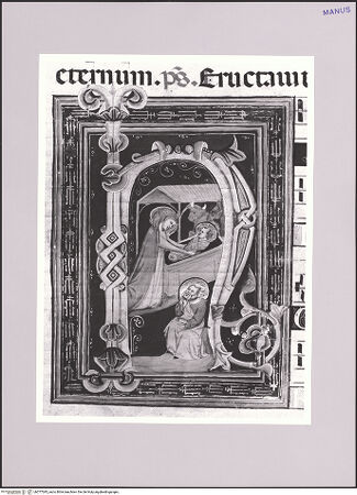 Vorderseite von bh577045_recto