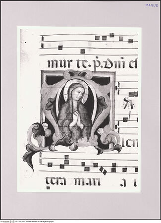 Vorderseite von bh577057_recto