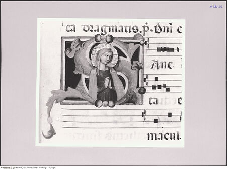 Vorderseite von bh577058_recto