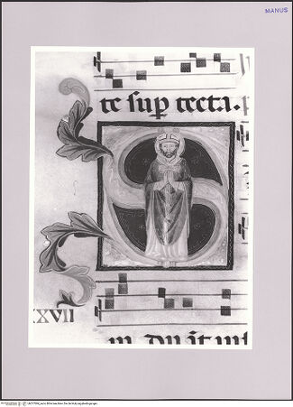 Vorderseite von bh577084_recto