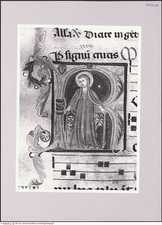 Vorderseite von bh577087_recto