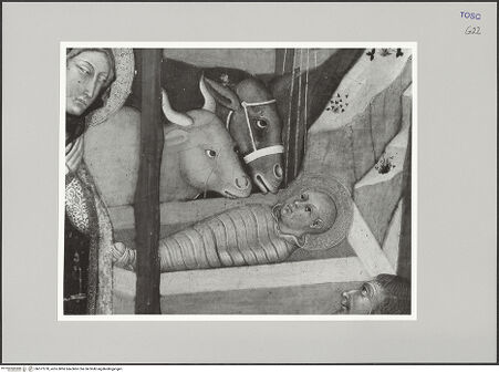 Vorderseite von bh577278_recto