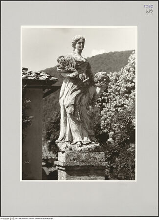 Vorderseite von bh577688_recto