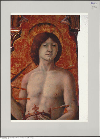 Vorderseite von Röll, Johannes [https://rightsstatements.org/page/CNE/1.0/] Maria mit Kind und Heilige - Detail: Heiliger Sebastian, Kopf und Oberkörper, bh577804_recto. Foto: Röll, Johannes.