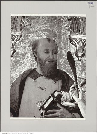 Vorderseite von Röll, Johannes [https://rightsstatements.org/page/CNE/1.0/] Maria mit Kind und Heilige - Detail: Heiliger Paulus, Oberkörper, bh577805_recto. Foto: Röll, Johannes.