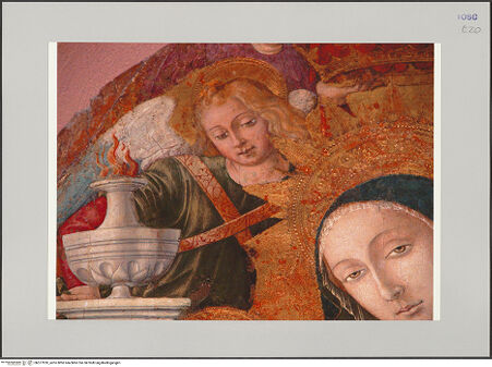 Vorderseite von Röll, Johannes [https://rightsstatements.org/page/CNE/1.0/] Thronende Maria mit dem Kind und Engeln - Detail: Engel, bh577810_recto. Foto: Röll, Johannes.