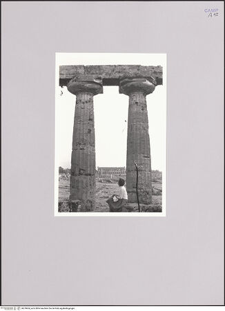 Vorderseite von Bibliotheca Hertziana [https://www.deutsche-digitale-bibliothek.de/content/lizenzen/rv-fz/] Tempio di Atena (Athenatempel) - Südkolonnade, Detail, bh578424_recto. Foto: Hahn, Hanno.