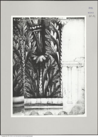 Vorderseite von Istituto Nazionale per la Grafica [https://www.deutsche-digitale-bibliothek.de/content/lizenzen/rv-ez/] Codice C (2502)Vespasianstempel, Aufriss des korinthischen Kapitells (Fortsetzung von fol. 83 v) - , bh578814_recto. Foto.