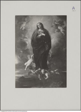 Vorderseite von bh579585_recto